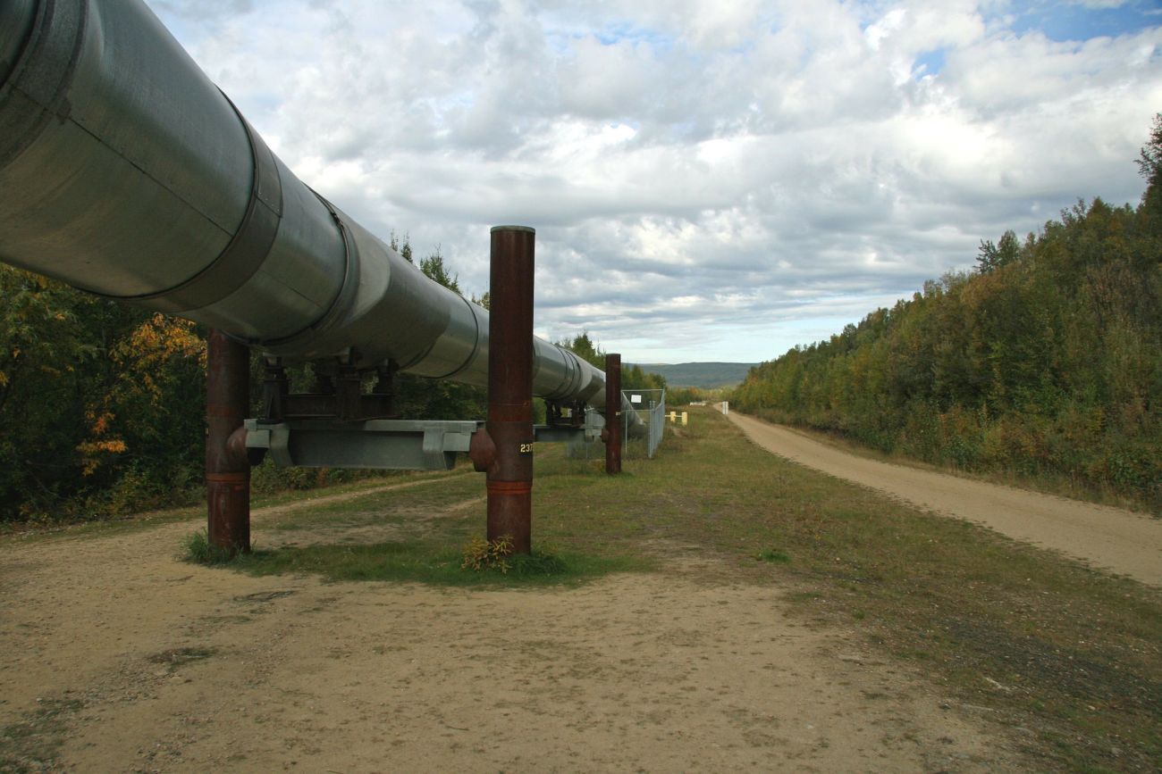 Energiekostendämpfungsprogramm