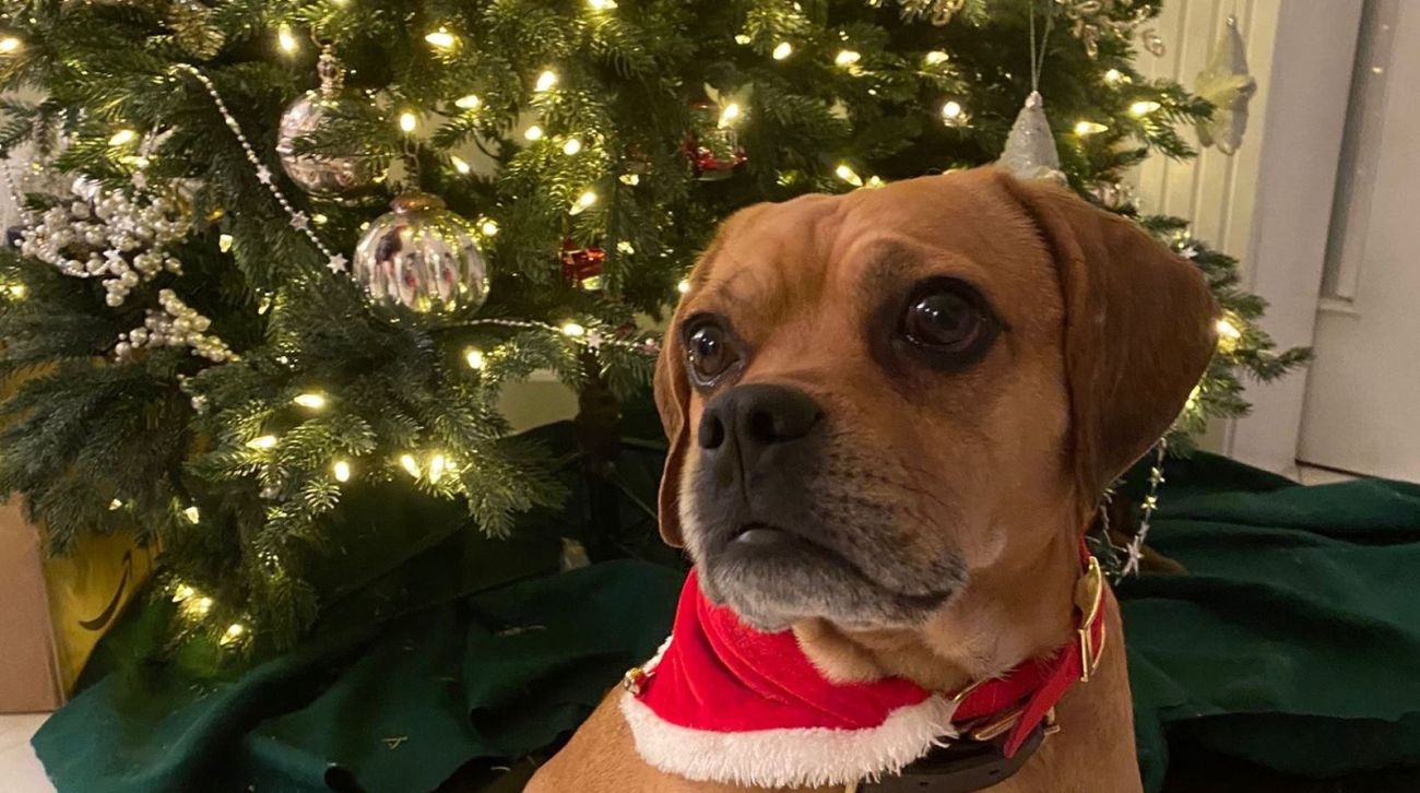 Weihnachten